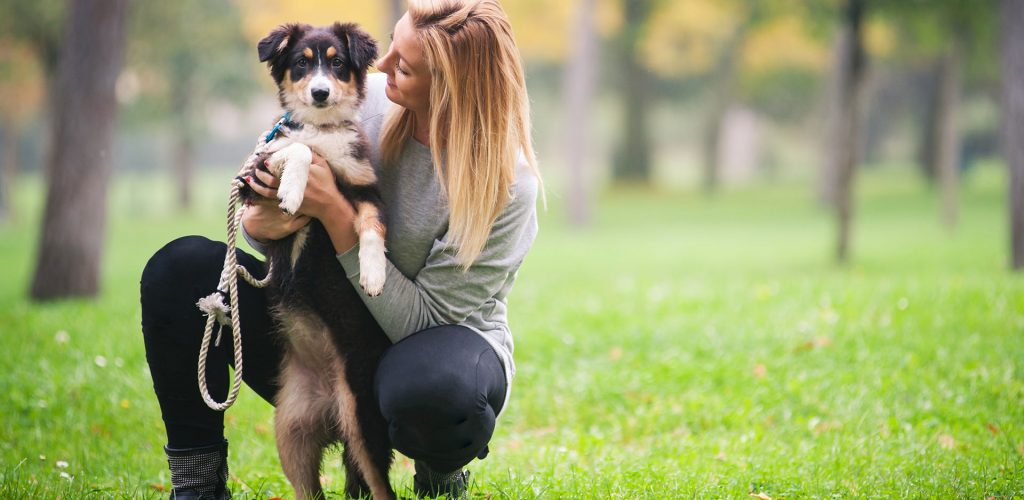 Young woman playing with Australian Shepherd dog outdoors in the park. ; Shutterstock ID 179803604; PO: TODAY.com; Other: Mike Smith